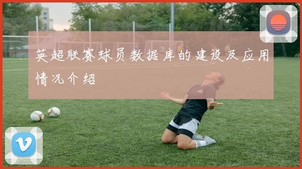 英超联赛球员数据库的建设及应用情况介绍