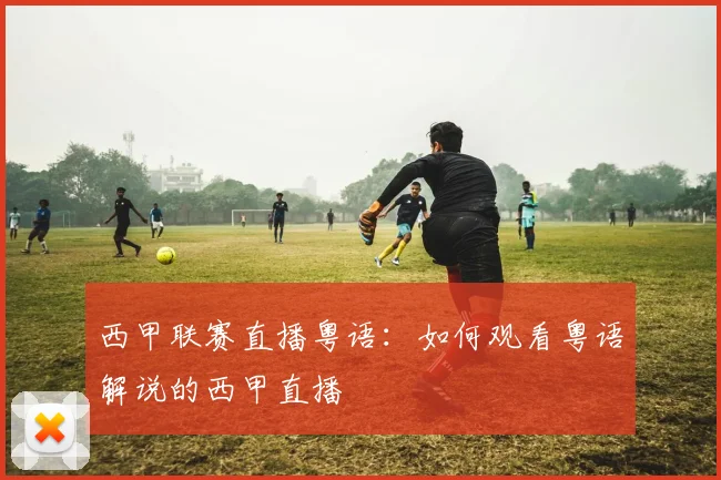 西甲联赛直播粤语：如何观看粤语解说的西甲直播