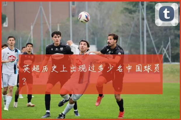 英超历史上出现过多少名中国球员?