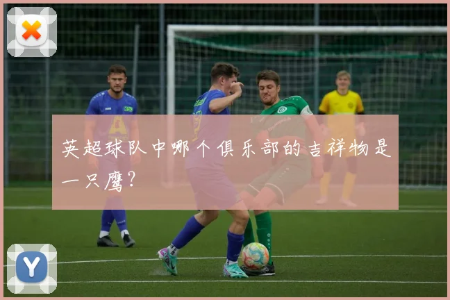 英超球队中哪个俱乐部的吉祥物是一只鹰？