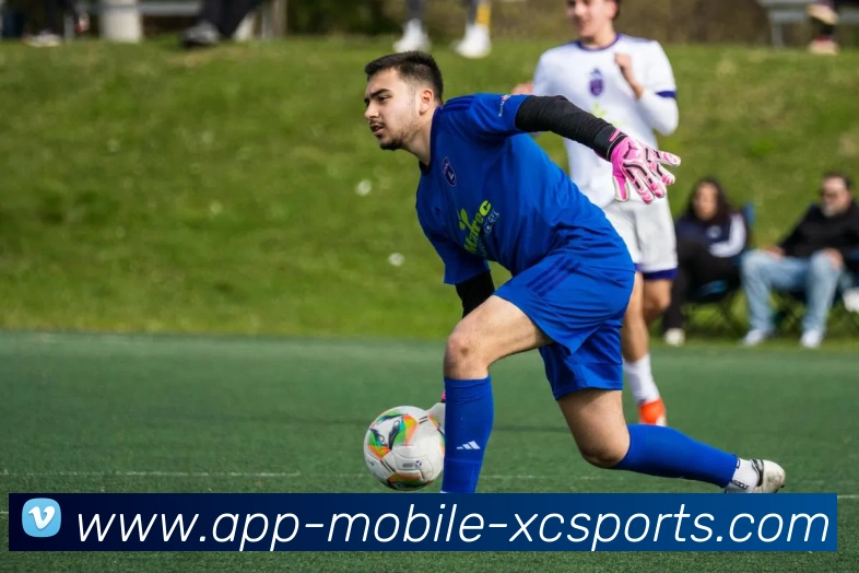 杏彩体育APP 高清赛事图